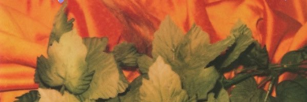 Rollspool banner