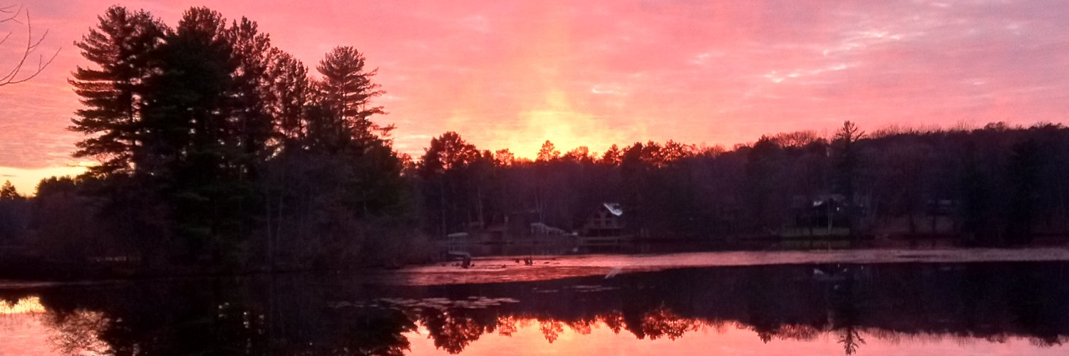 CabinNorth WI's banner