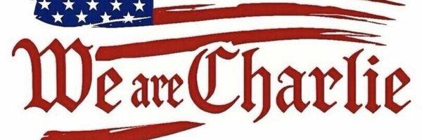 zeronone321 Profile Banner