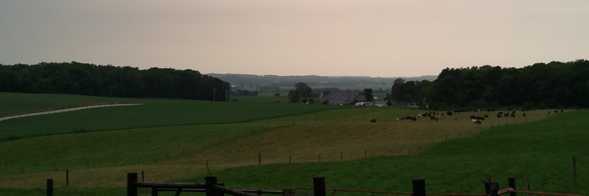 CookShowcattle's profile banner image