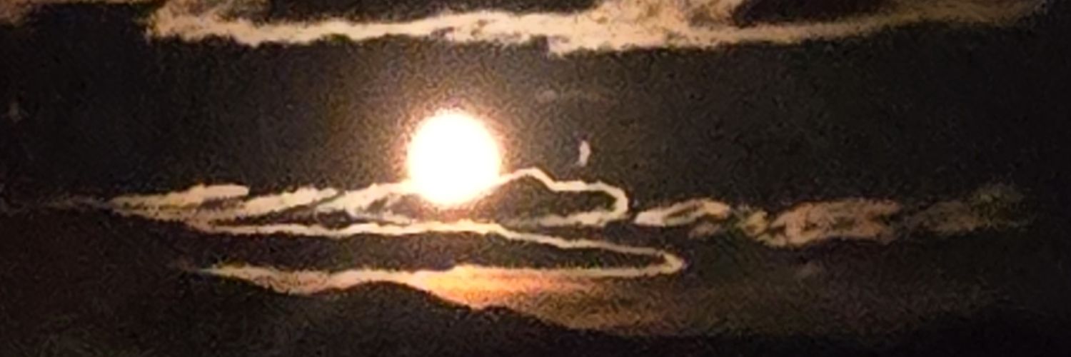 Leo banner