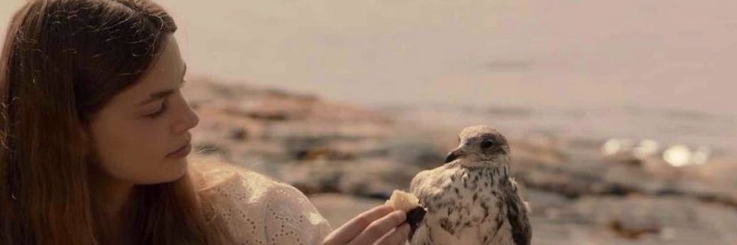 💟 banner