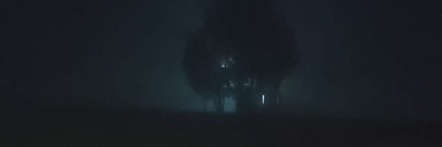 ariraparicio's profile banner image