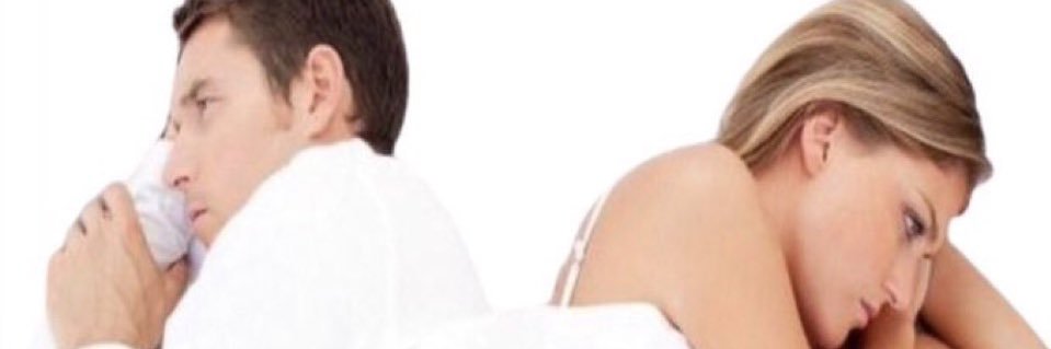 The One and Only Dingus banner