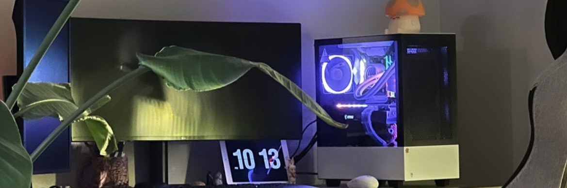 Rosectra banner