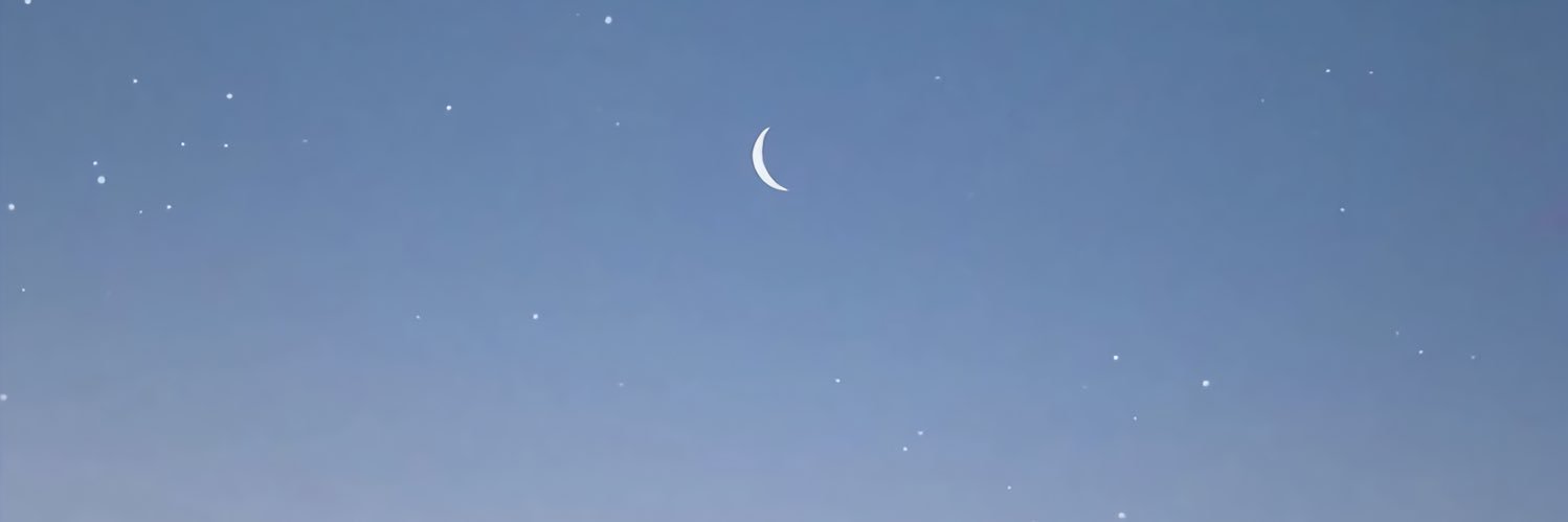 catABSea's profile banner image