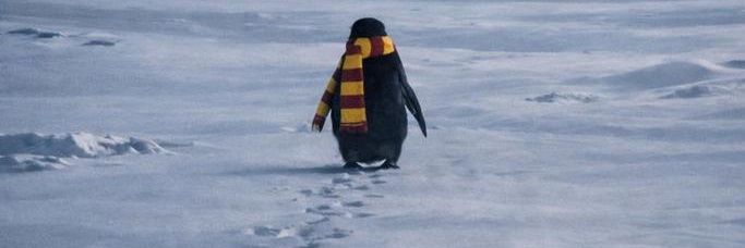 Elif Seda Güler banner