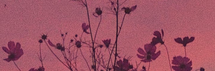 lavpetaledwings's profile banner image