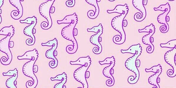 love_rabbit_a's profile banner image