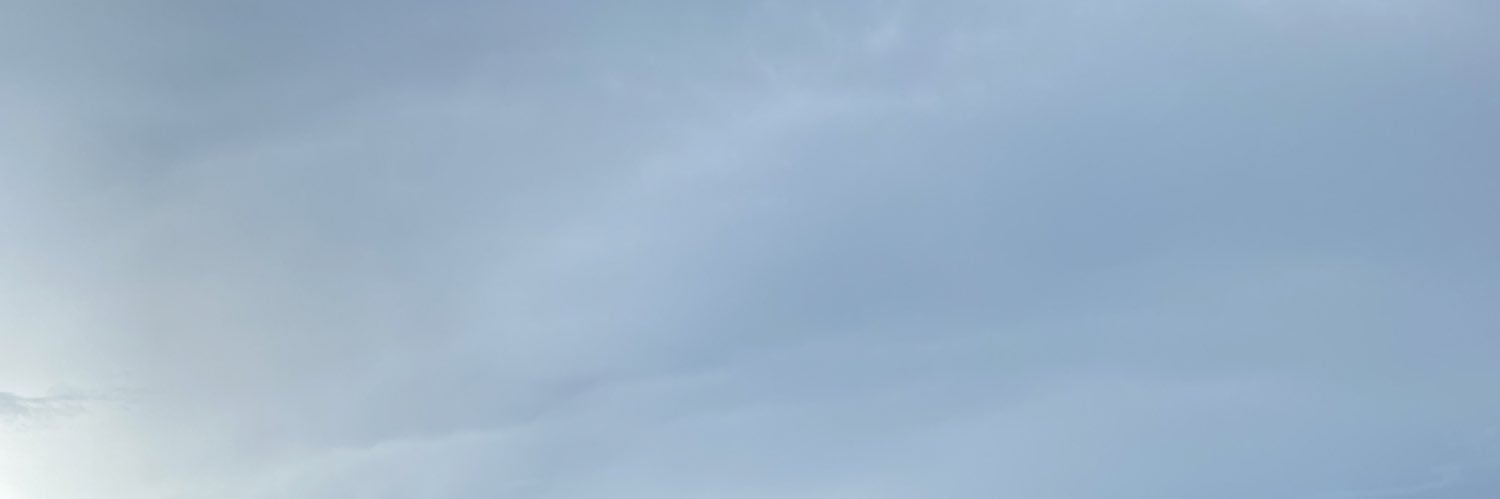 RandyPaniagua's profile banner image