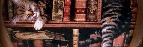 Fotinit_Foz's profile banner image