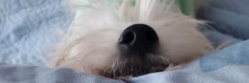 Kayli_jbasemom's profile banner image