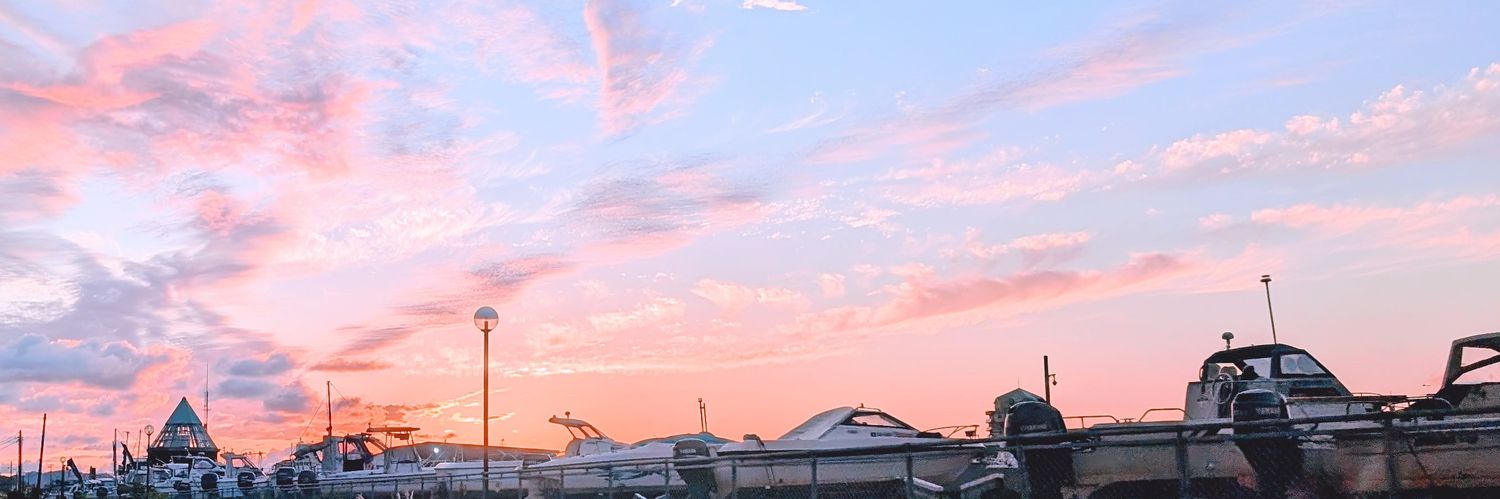 lawfleaby's profile banner image