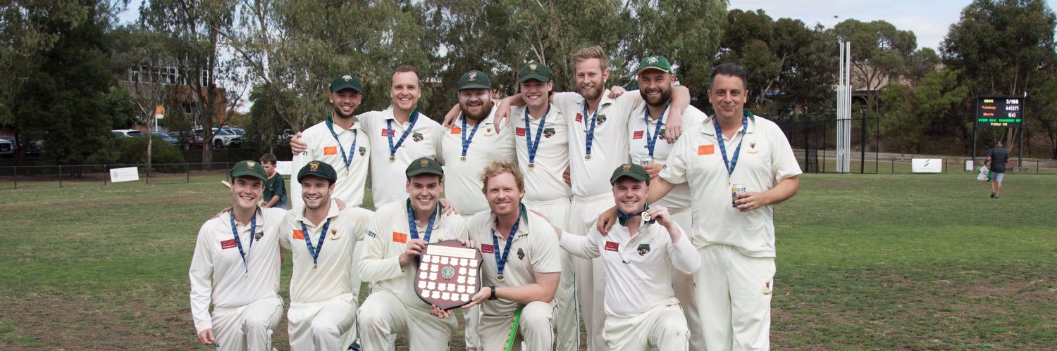 Deepdene Bears CC banner