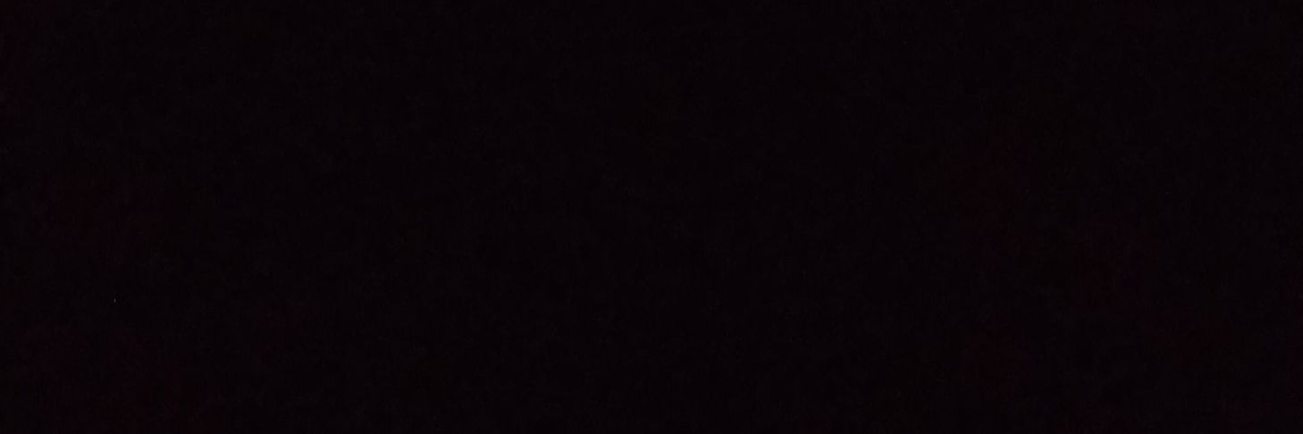 Clarissa Yunita banner