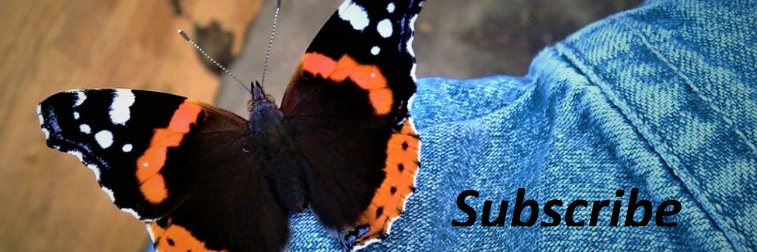 Everal Campbell - Simplyhealthiswealth banner