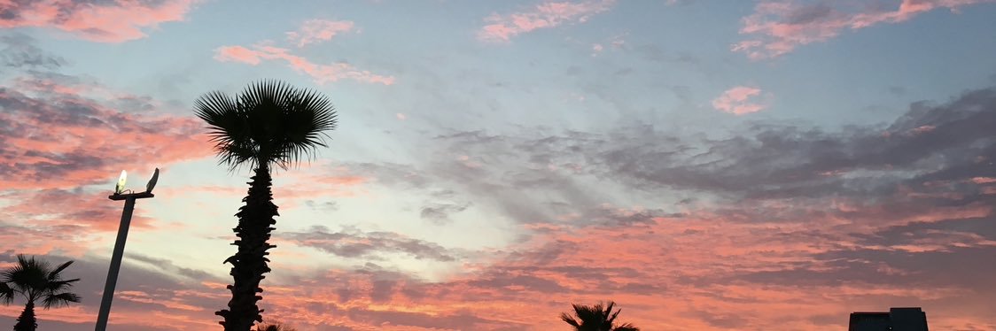 FlyPoppop's profile banner image