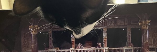 AngelineMMorris Profile Banner