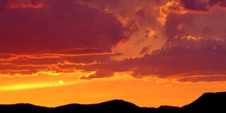 bholtzie's profile banner image