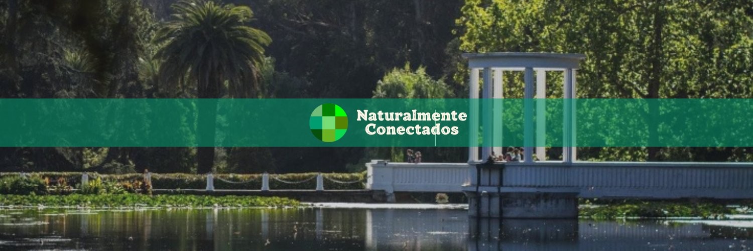 NatConectados's profile banner image