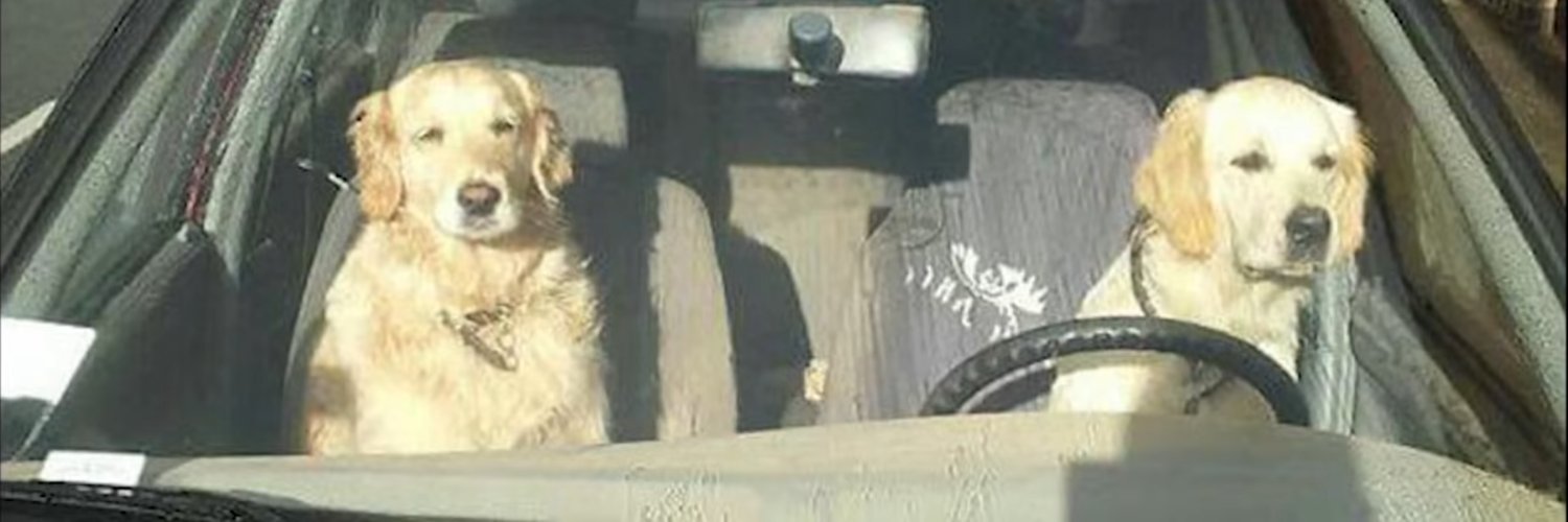 Dobos banner