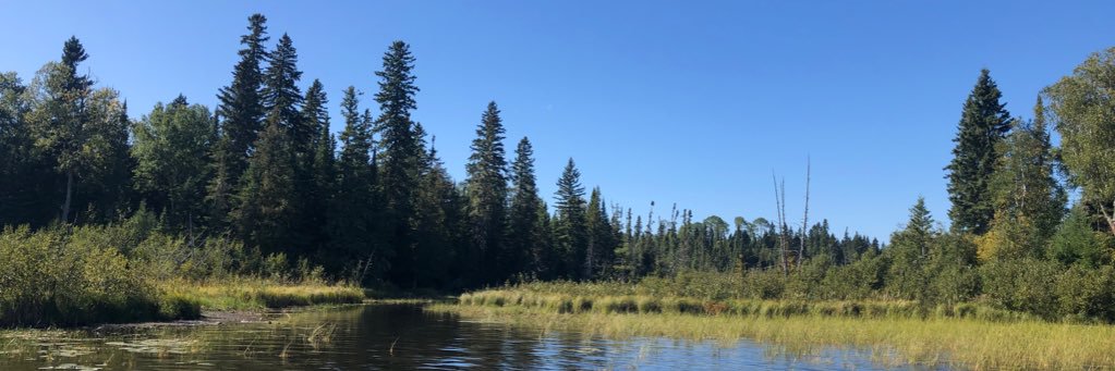 FishHuntPLC's profile banner image