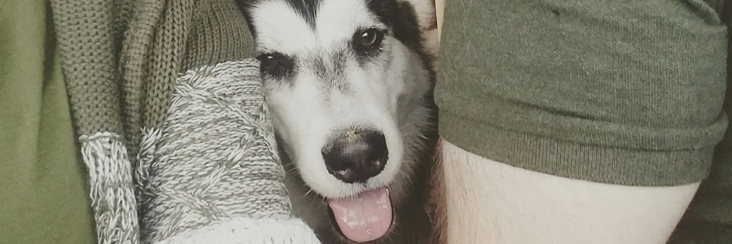 tashaaaaab's profile banner image