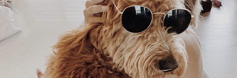 kaileynicole23's profile banner image