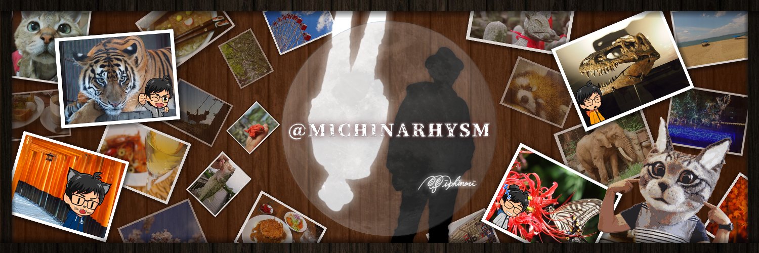 Michinarhysm's profile banner image