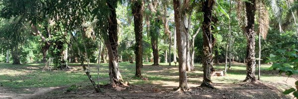 TatySilva_P Profile Banner