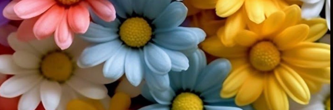 Jchantel_'s profile banner image