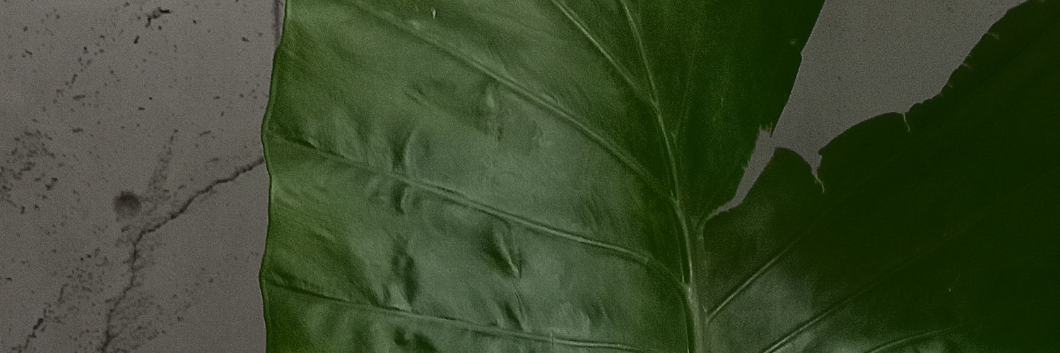 GaelGayosso's profile banner image