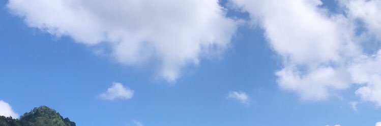 restuaurus's profile banner image