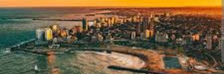 🐉Dragón marino 🌊 banner