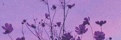 meowlutations's profile banner image