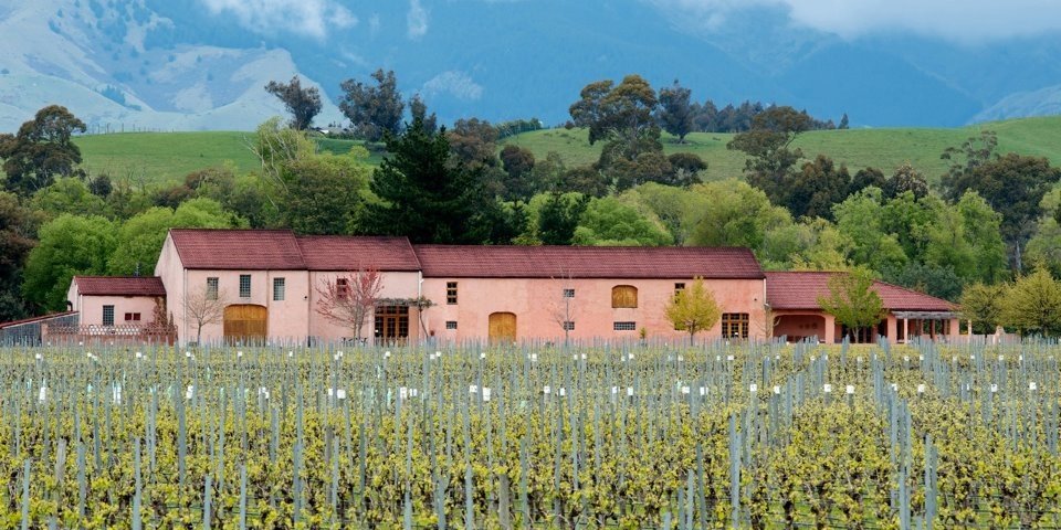 Isabel Vineyard banner