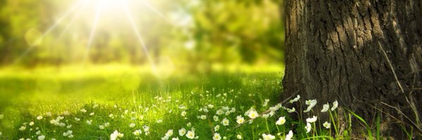 EternalPharma Profile Banner