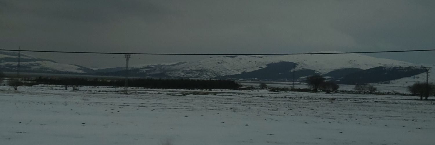 gabriel_lovi's profile banner image