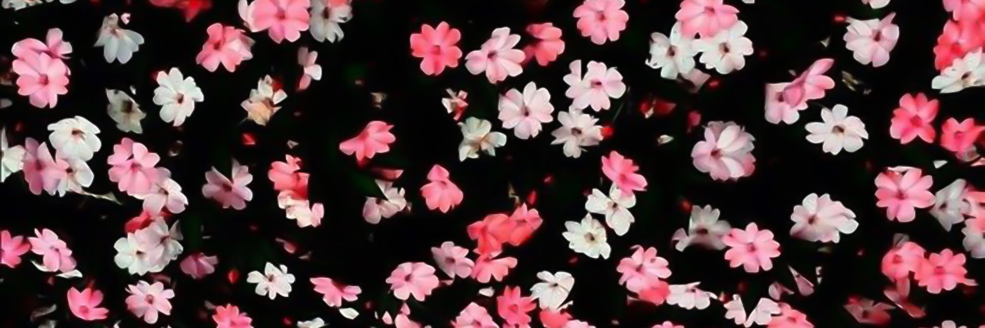 Flor_Marty's profile banner image