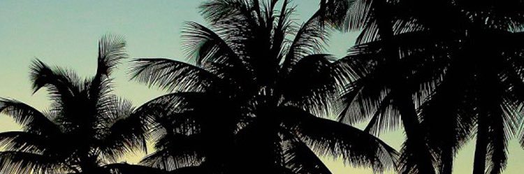 FedUpSSG 🇺🇸 banner