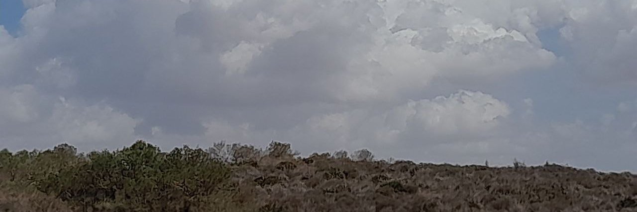 dahmaanus's profile banner image