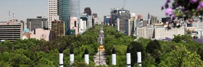 Araceli Pérez banner