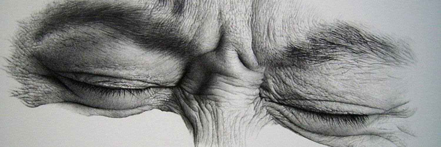 darkmolecule's profile banner image