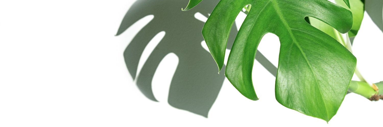 vgotlight's profile banner image