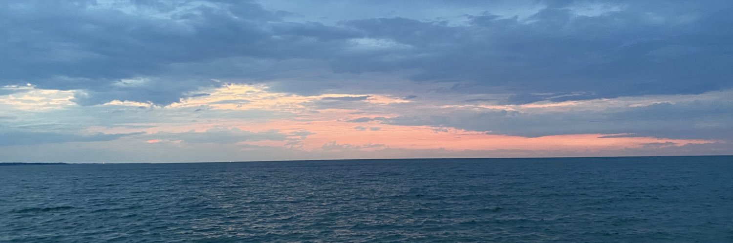 geminimoon91's profile banner image
