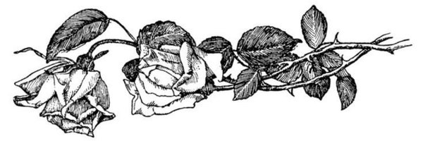 trevv11_ Profile Banner