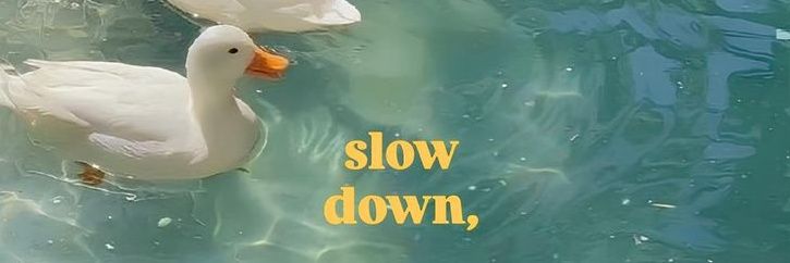 𝐌𝐨𝐧𝐤𝐢𝐭𝐭𝐞𝐚 🐾 ⱽᴳᵉⁿ ᶜᵒᵐᵐ ᴼᵖᵉⁿ banner