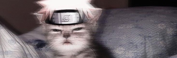 7yunimo's profile banner image