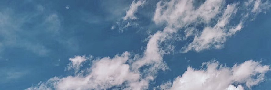 SZJ's banner