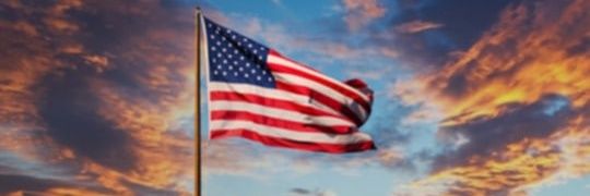 L B banner